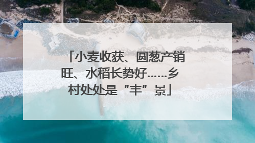 小麦收获、圆葱产销旺、水稻长势好……乡村处处是“丰”景